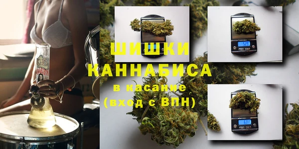 твердый Алзамай
