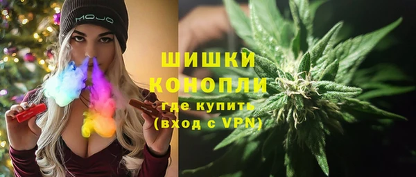 индика Алексеевка